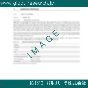 グローバルリサーチ調査資料のイメージ